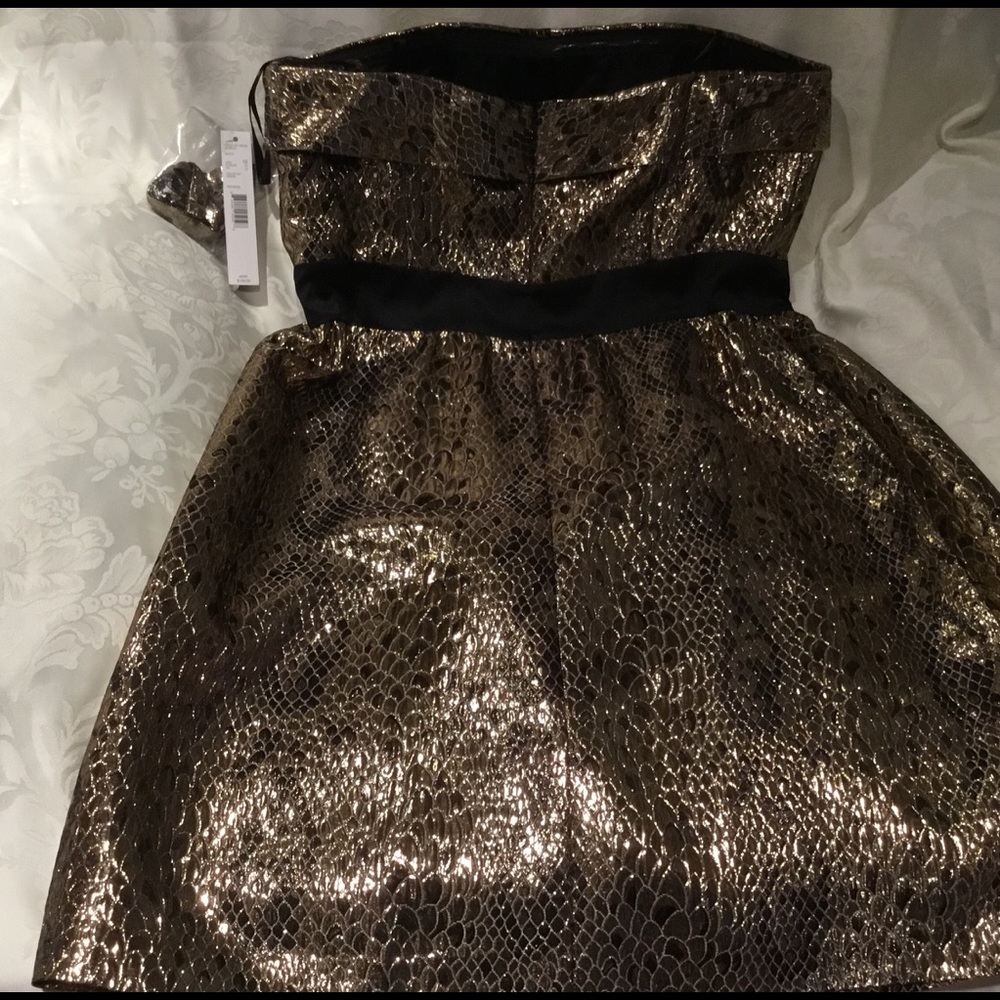 Gianni Bini Dress